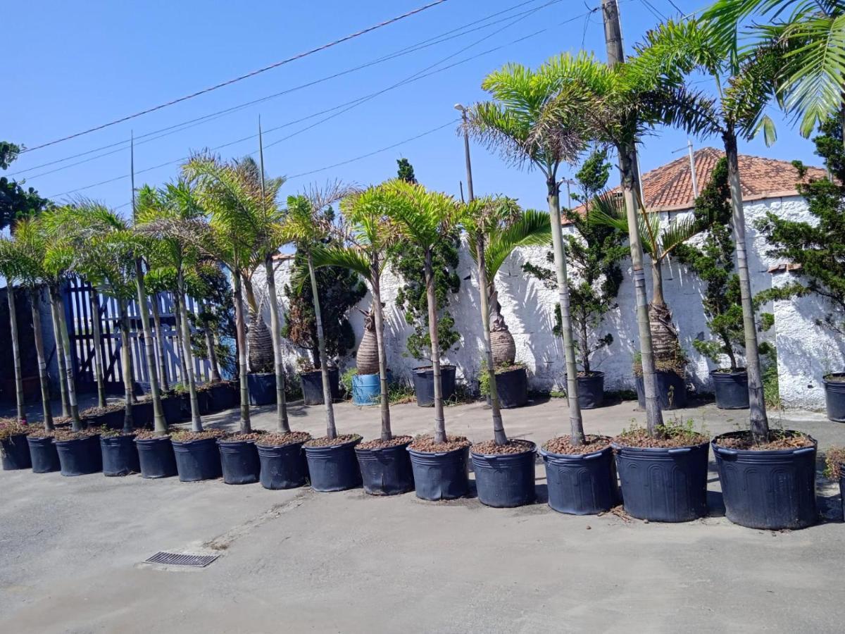 Pousada Sereia Jofisa Itanhaem Exterior photo