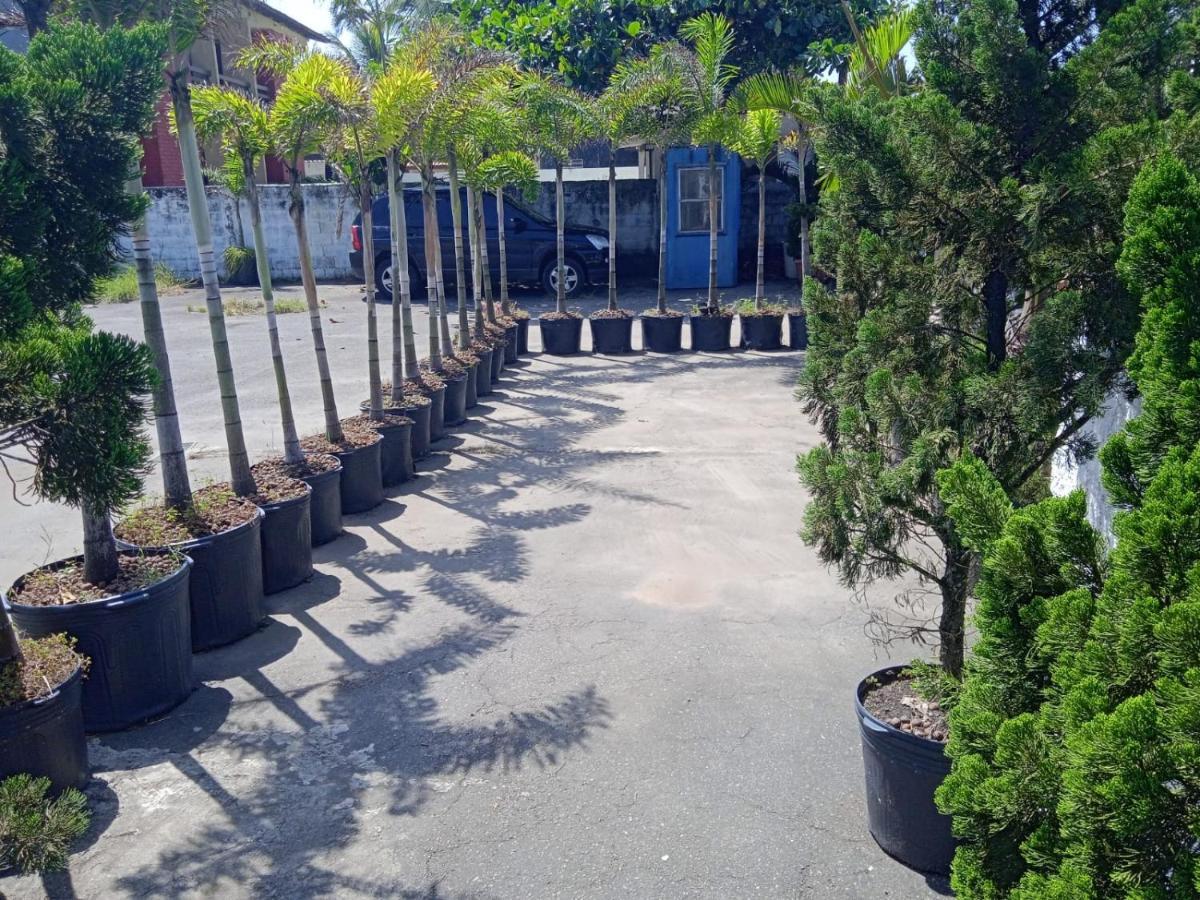 Pousada Sereia Jofisa Itanhaem Exterior photo